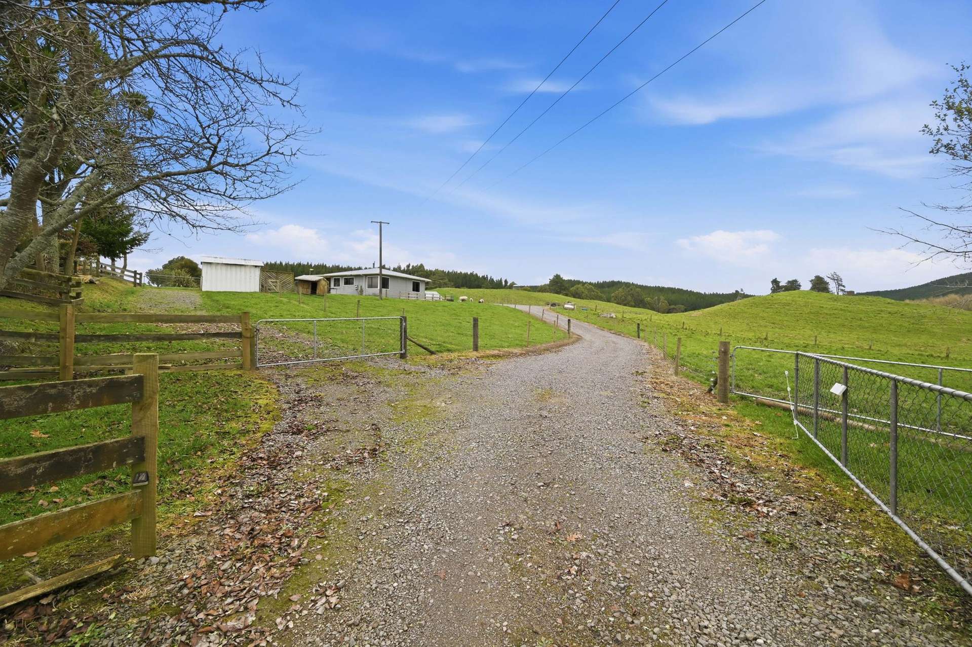 362A State Highway 38 Rerewhakaaitu_0