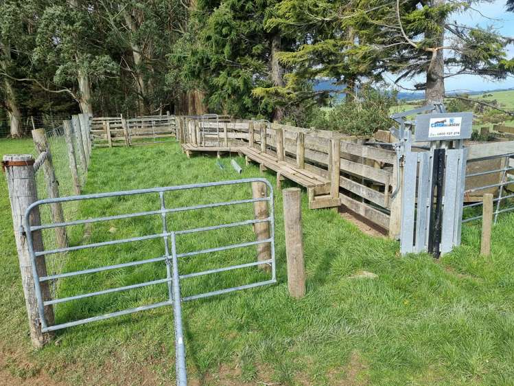 1384 Tahakopa Valley Road Catlins Surrounds_11