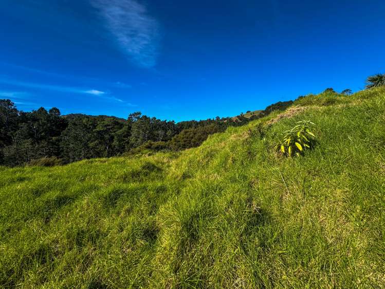 8 Te Mata Drive Te Mata_4