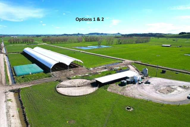 Desirable Flat Dairy Farm - Many Purchase Options