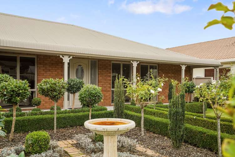 19 Willow Grove Morrinsville_13