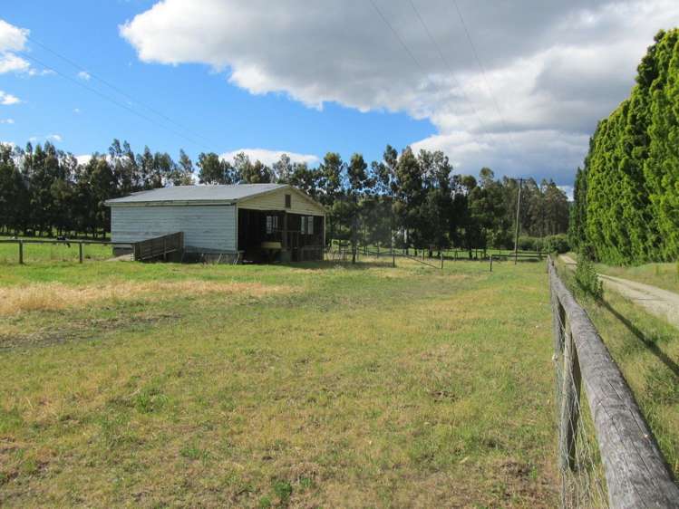 137 Blackman Road Alexandra_18