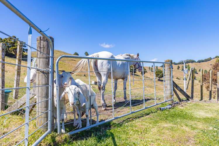 12 Pipitiera Street Taumarunui_18