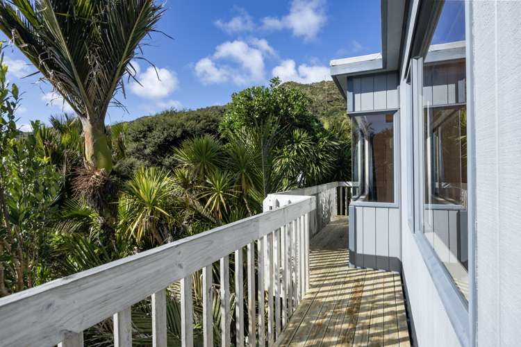 19 Rayner Road Piha_5