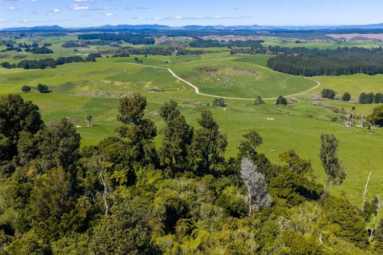 656 Waotu Road South Putāruru_17