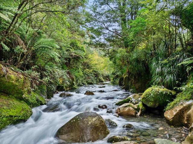 Private sanctuary, natural riverside paradise