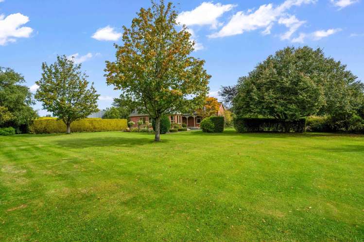 44 Mcivor Road Anderson Park_23