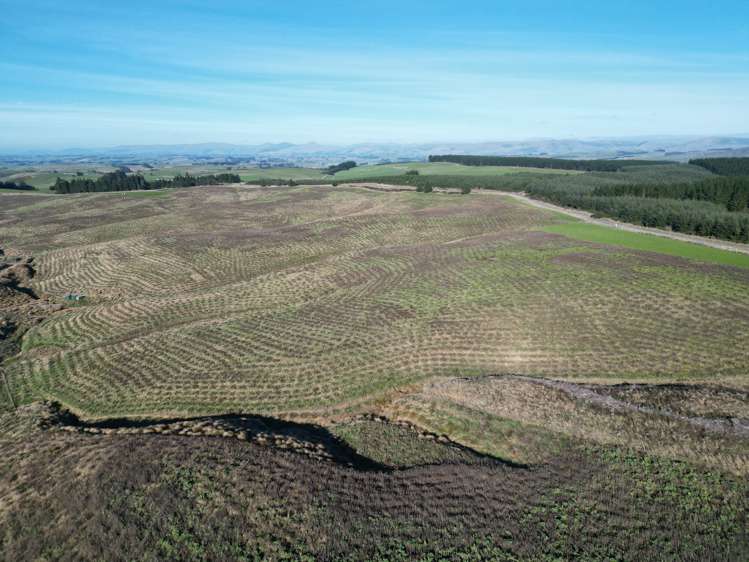 Lot 2/339 Rankleburn Road Rankleburn_13