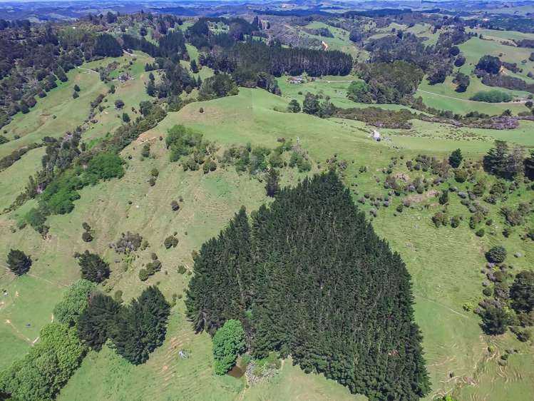 430 Krippner Road Puhoi_18