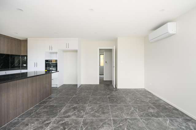 103A Featherston Street Takaro_3