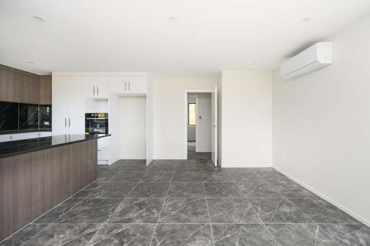 103A Featherston Street Takaro_3