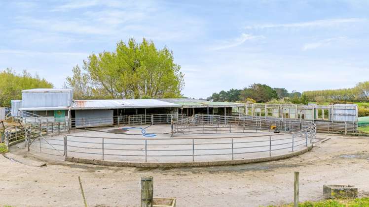 985 Manaia Road Kapuni_8