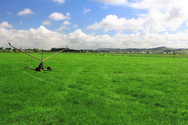 23 Rogan Avenue Helensville_11