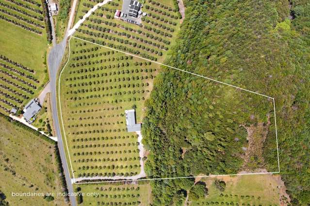 72 Leccino Valley Road Mangonui_4