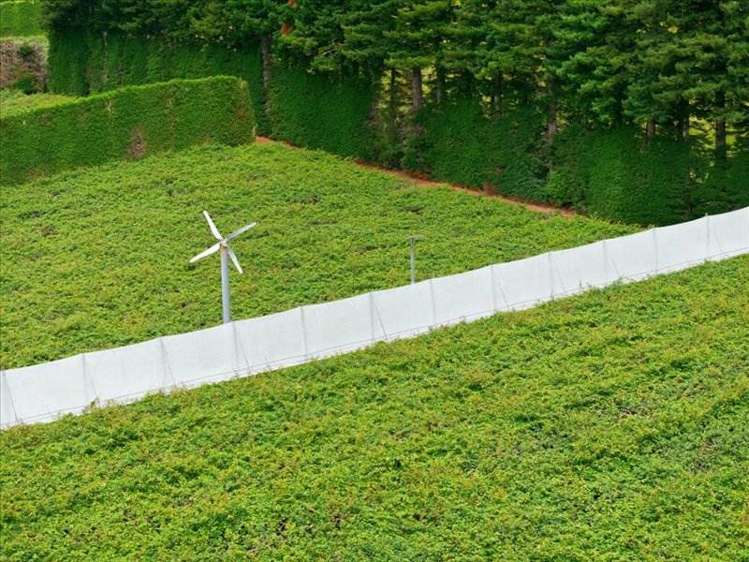 1399A No. 3 Road Te Puke_14