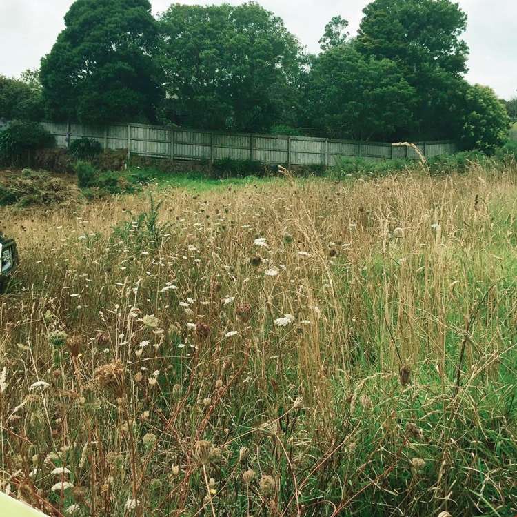 110 Isabella Drive Pukekohe_2