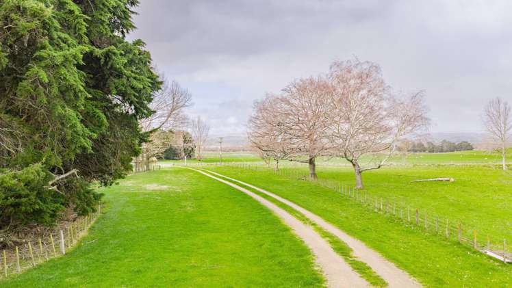 352 Hatuma Road Waipukurau and Surrounds_16