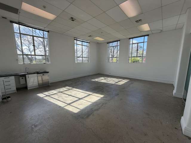 Part Ground, 20 Alma Street Hamilton City Central_1