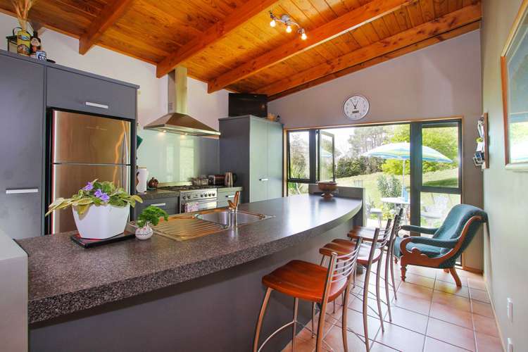 471 Horseshoe Bush Road Dairy Flat_3