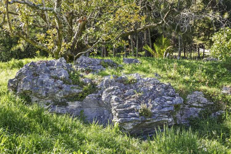 144A Rocklands Road Clifton_10