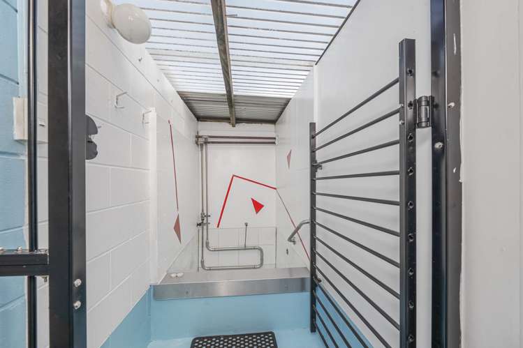 8a Seddon Street Glenholme_12