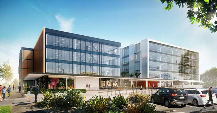 9 Marewa Road Greenlane_7