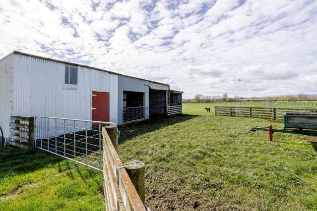 55 Troup Road Woodville_4