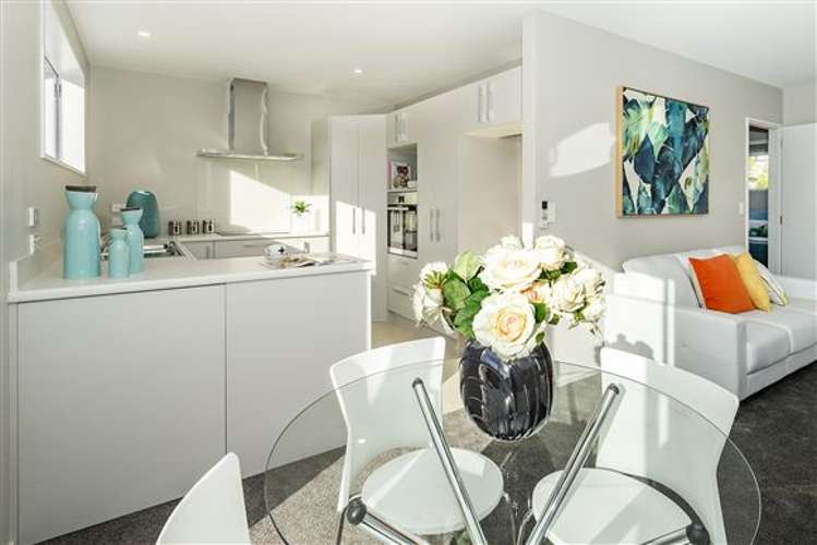 38 Browning Street Sydenham_4