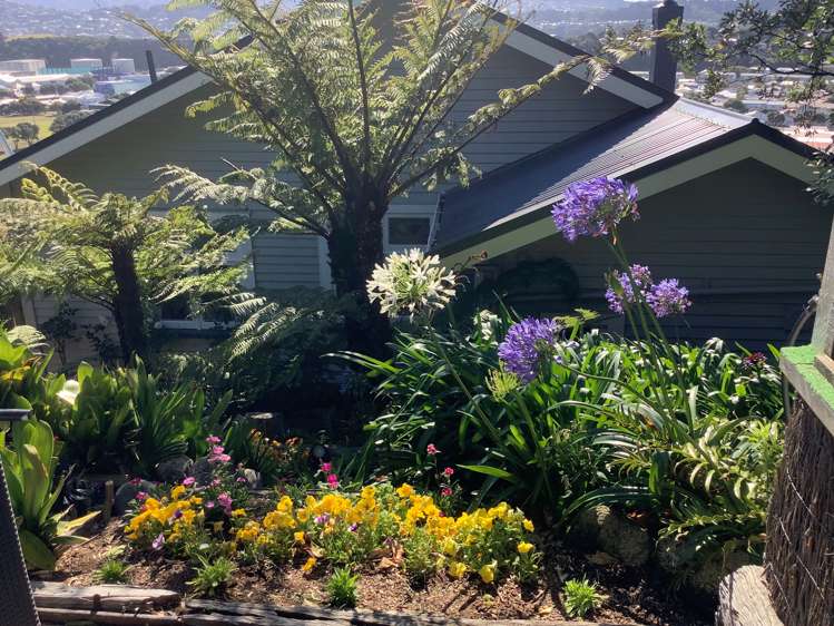 33 Townsend Road Miramar_12