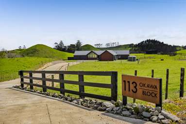 113 Tarata Road_2