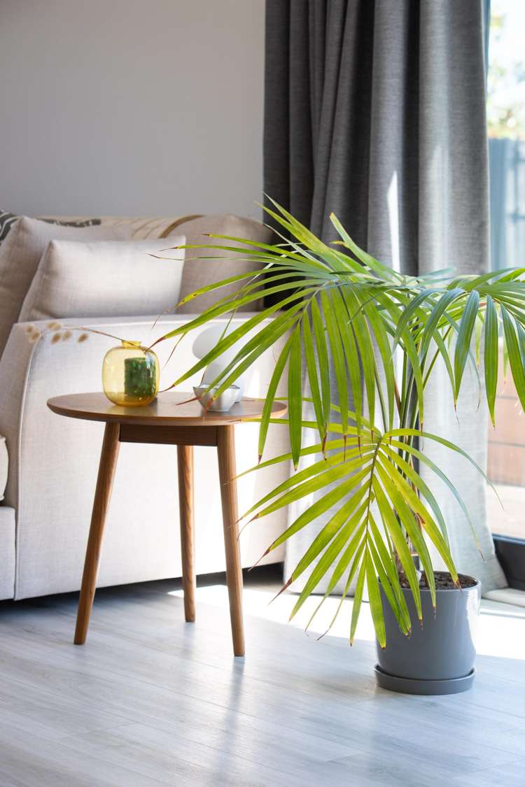 7B Warden Street Richmond_37