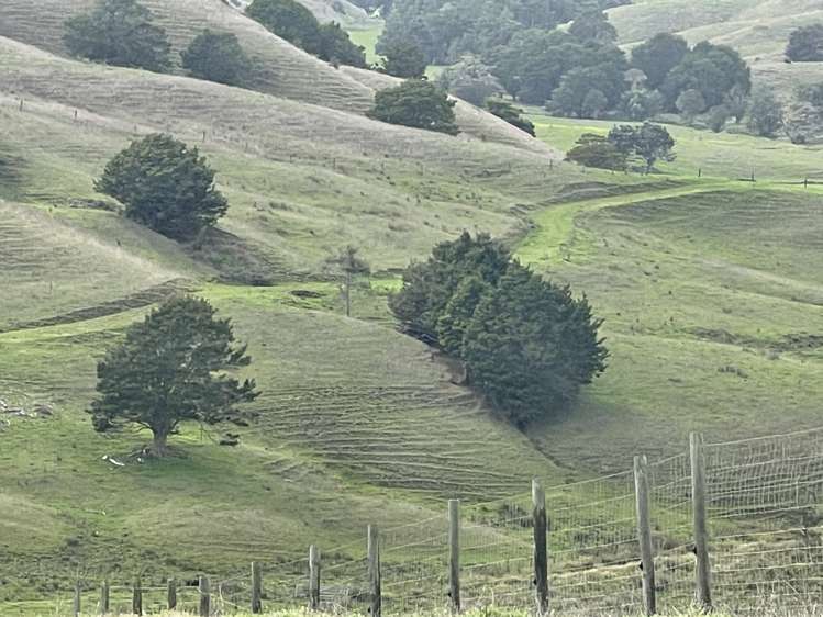 426 Mangarata Block Road Arapohue_20