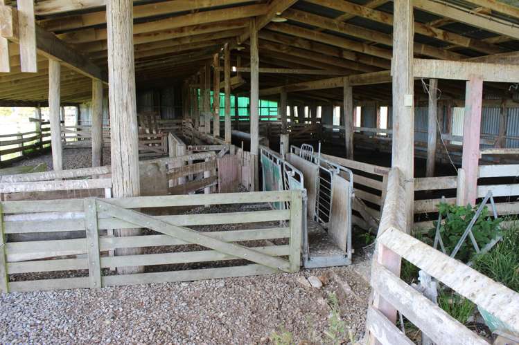 401 Spar Bush School Road Spar Bush_6