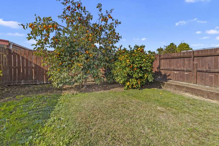 3/130 Goodfellow Street Te Awamutu_16