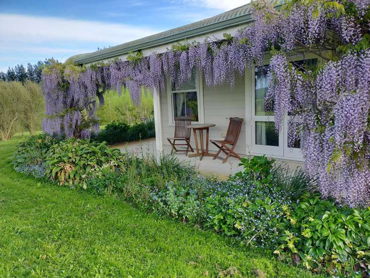 253A Kokotau Road Kokotau_23