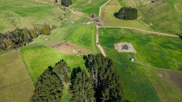 1026 Limeworks Loop Road Te Pahu_11