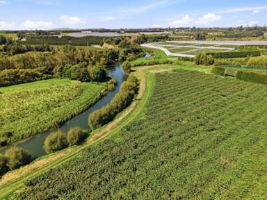 206 Casuarina Drive_4