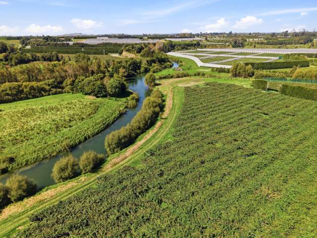 206 Casuarina Drive Te Puke_4