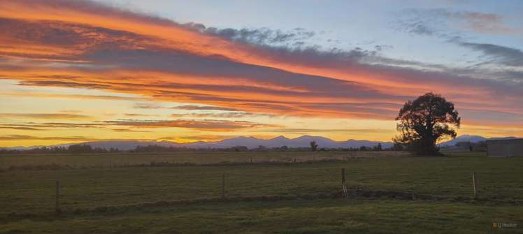 15 Stewart Road, Orari Temuka_19