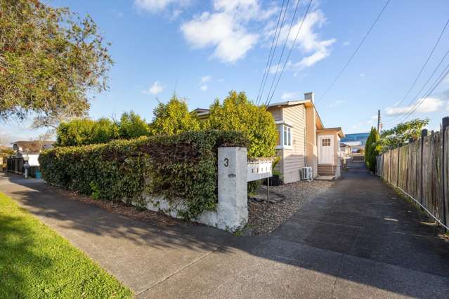 1/3 Gavin Street Ellerslie_1