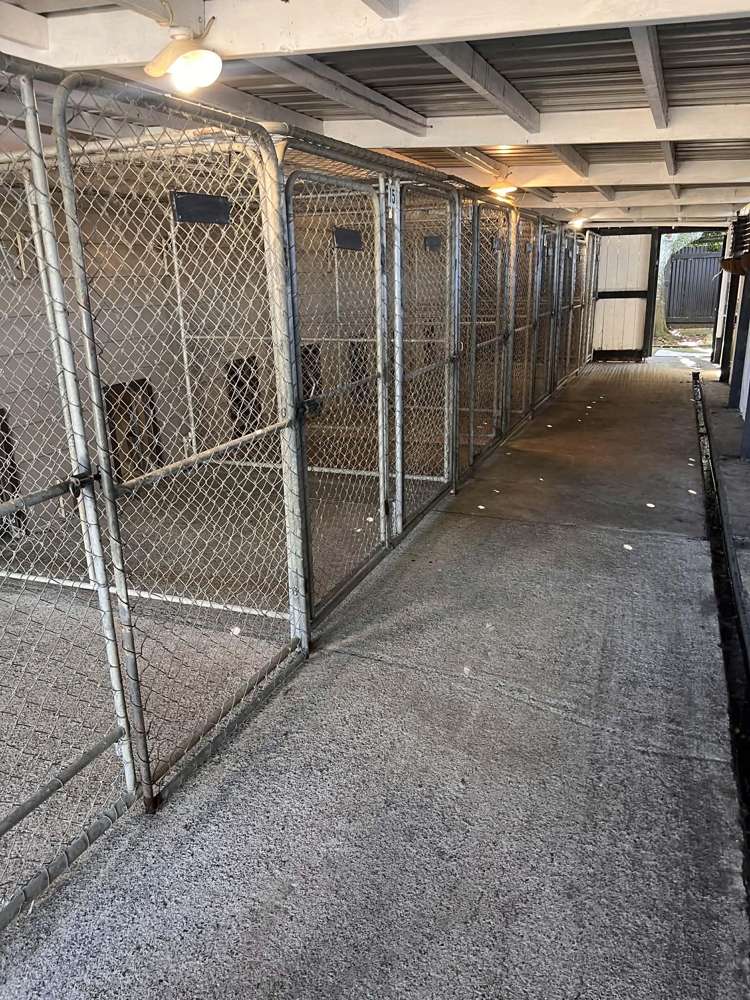 128 Mako Mako Road Levin_17