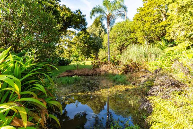 364 Tara Road Mangawhai_36