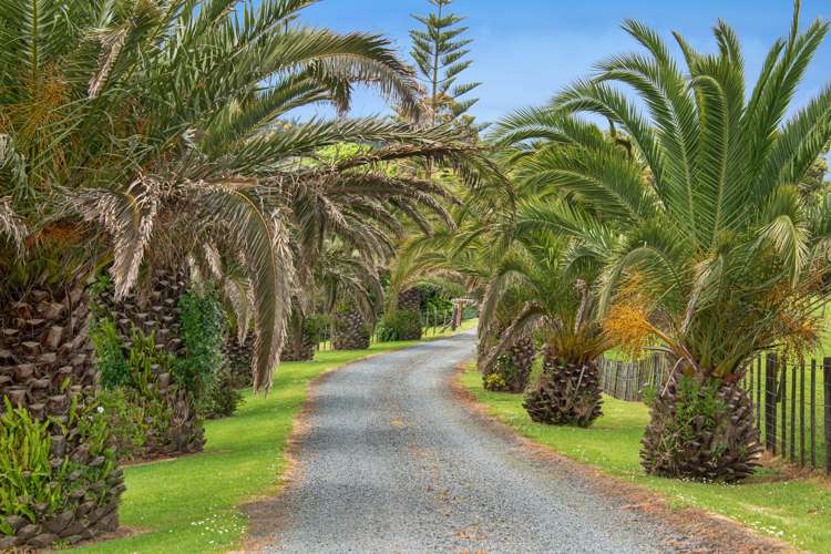 85 Jordan Road Kaukapakapa_54