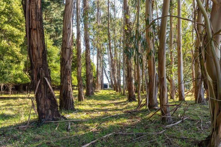 207 Round Hill Road Loburn_6