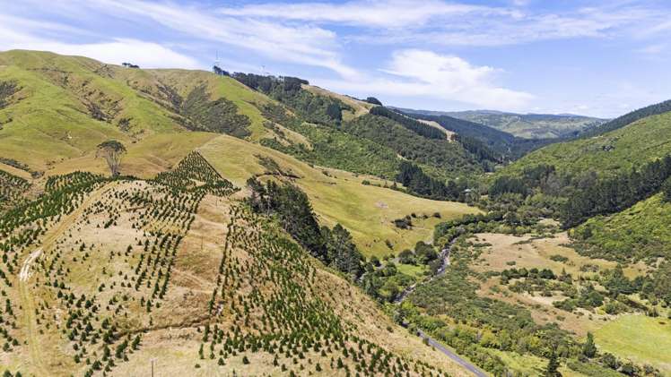 479 Kahuterawa Road Linton_16