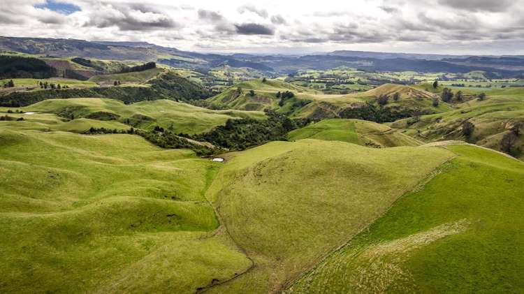 4332 Puketitiri Road Hastings Country_5