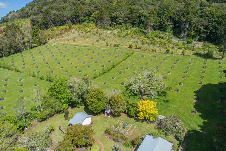 1449 State Highway 14 Maungatapere_17