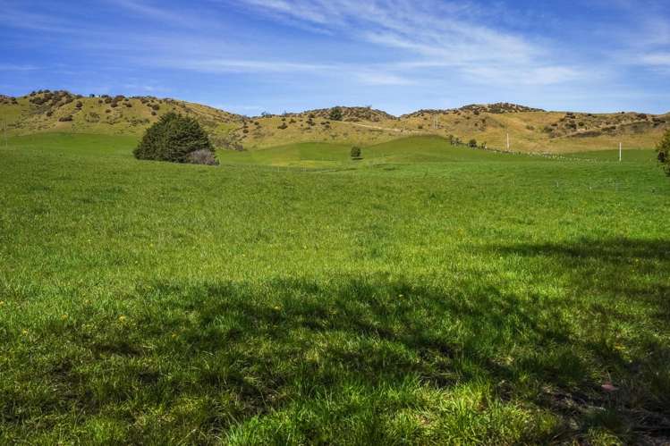 512 Karaka Road Waikari_15