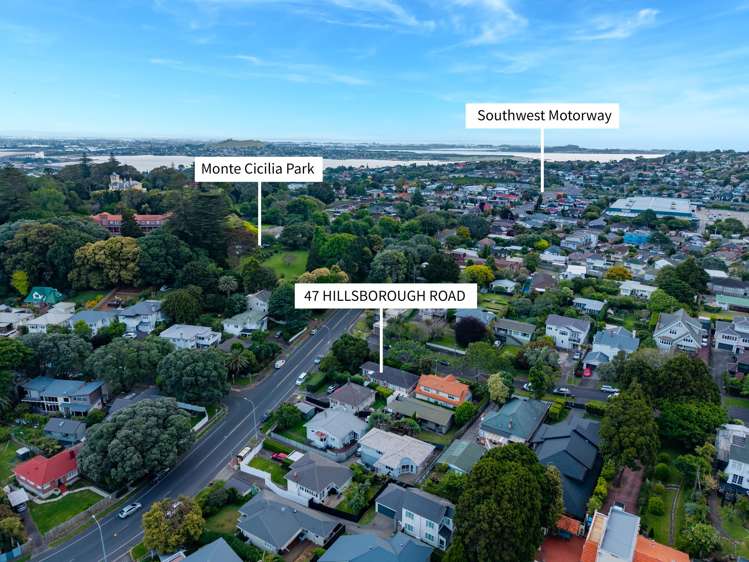 47 Hillsborough Road Hillsborough_23