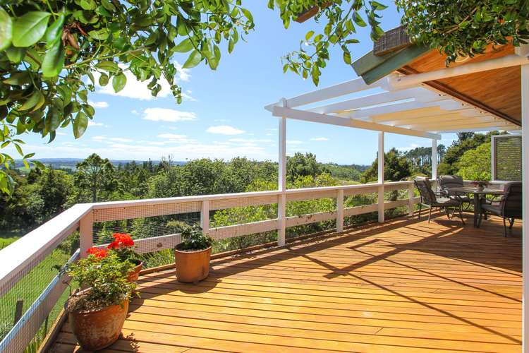 399 Horseshoe Bush Road Dairy Flat_10